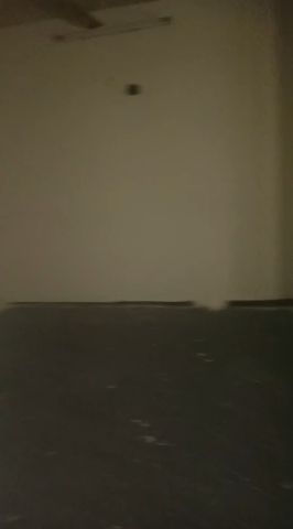 🏠 بيت عربي للإيجار  📍 الموقع: البستان   🛏️ عدد الغرف: 5 غرف 4