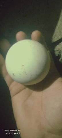 الاحجار الكريمة 