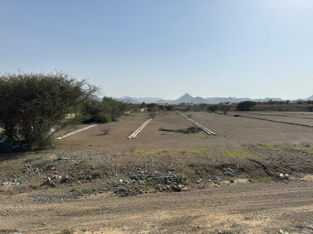 فرصتان لبناء فيلاتك على شارعين بمصفوت حوض 8 7