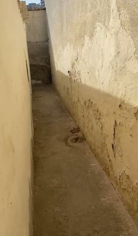 🏠 للإيجار – بيت عربي في الراشدية 3 / عجمان – سكن عمال  عدد الغرف 10