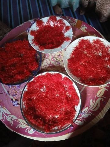 زعفران مغربي  4