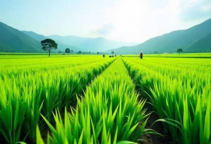 للبيع اراضي زراعية بالمدام