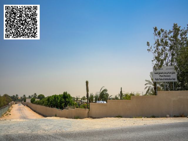 أرضين سكنيتين كلاهما زاوية شارعين | بجوار مسجد خليفة المطروشي  7