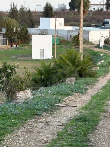 استثمار مزارع شتى انواعها للبيع في اسبانيا 6