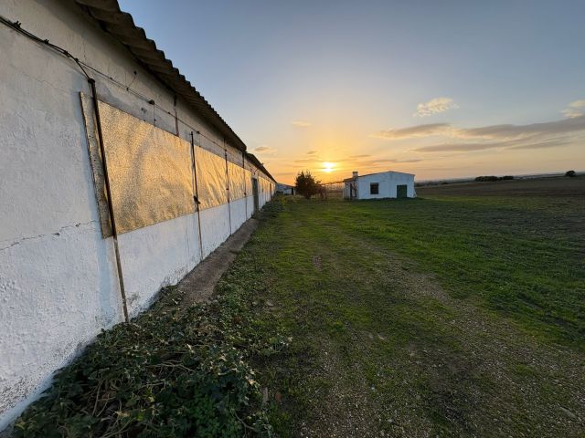 استثمار مزارع شتى انواعها للبيع في اسبانيا 8