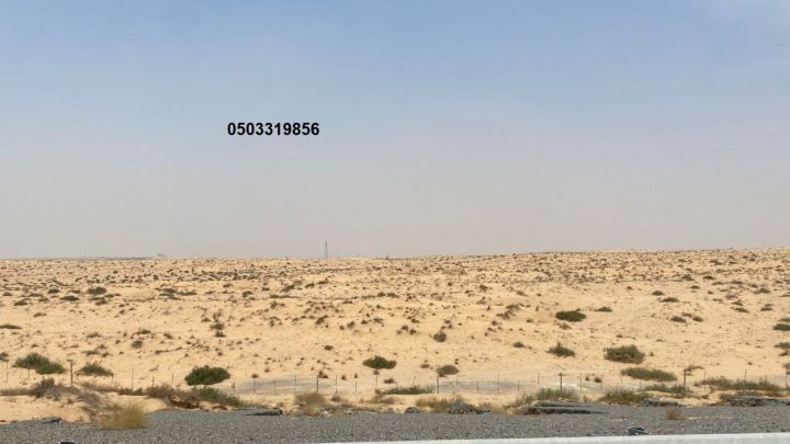 ? مطلوب أرض زاوية للشراء في عجمان المنامة – حوض 14