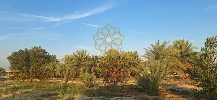 للبيع مزرعة في الباهية لاول مرة تنعرض في السوق بموقع مميز جدا 