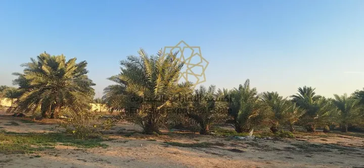 للبيع مزرعة في الباهية لاول مرة تنعرض في السوق بموقع مميز جدا  2