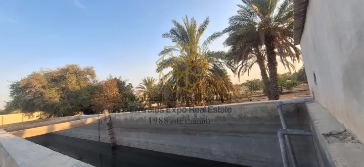 للبيع مزرعة في الباهية لاول مرة تنعرض في السوق بموقع مميز جدا  5