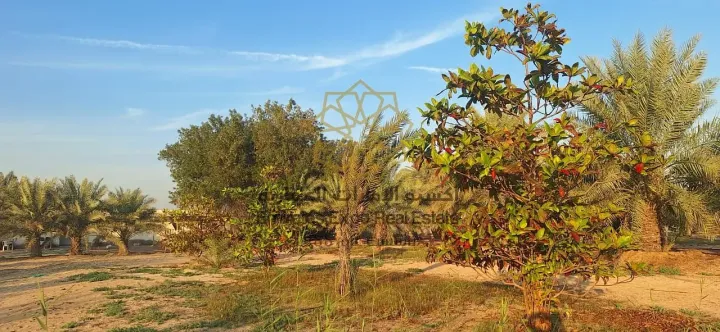 للبيع مزرعة في الباهية لاول مرة تنعرض في السوق بموقع مميز جدا  6