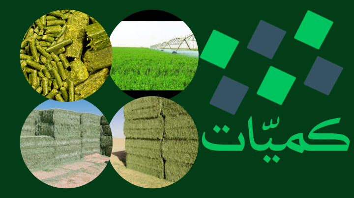 برسم حجازي جت درجة أولى  3