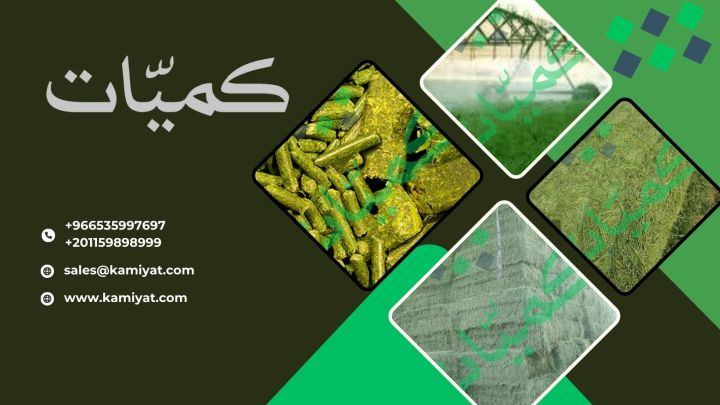 برسيم جت شركة كميات  7