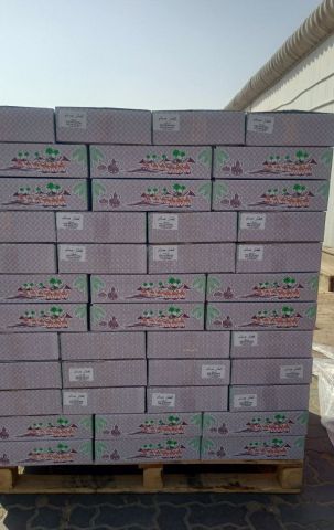 تمر إفطار الصائم 2