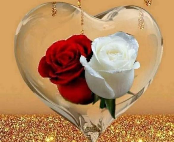 رجل يبحث عن امرأة للتعارف والصداقة