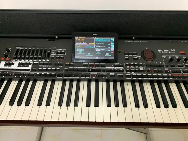 Korg pa4x mg2