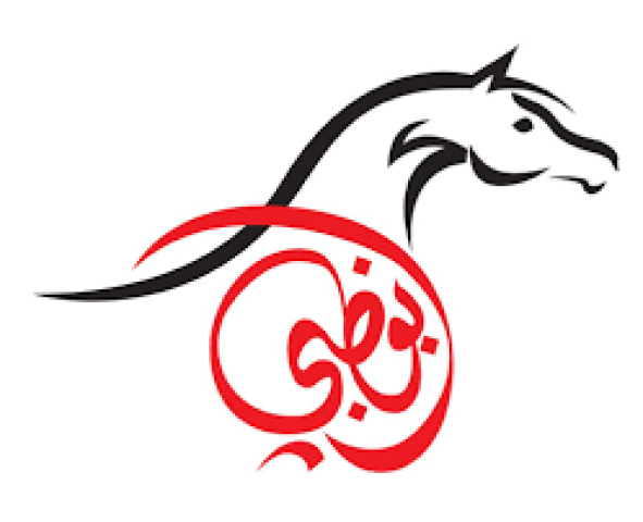 زواج مسيار  3