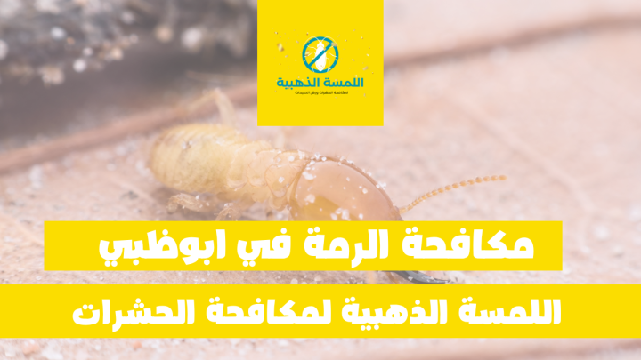 اللمسة الذهبية لمكافحة الحشرات | شركة مكافحة حشرات أبوظبى مكافحة