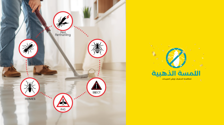 اللمسة الذهبية لمكافحة الحشرات | شركة مكافحة حشرات أبوظبى مكافحة 7
