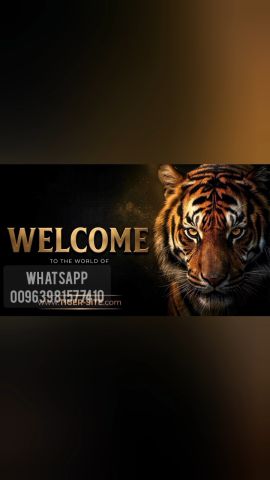 TIGER ONE BILLION V3 AI-SR 8K ANDROID FOREVER  5