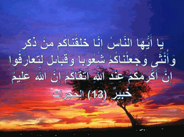 شاب عربي مقيم في أبوظبي يبحث عن زوجه  2