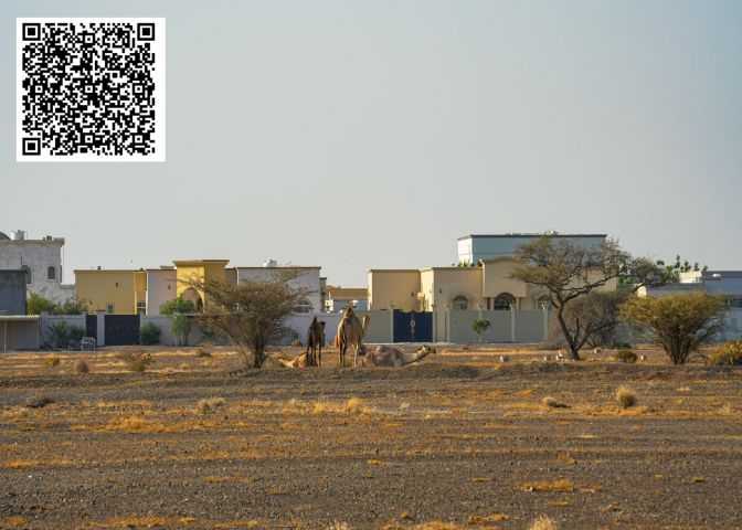 أرضين متجاورتين على ثلاثة شوارع منامة 8 | 947 متر