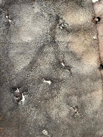 مخطوطة إنجيل أثرية نادرة - (Rare Ancient Gospe 2