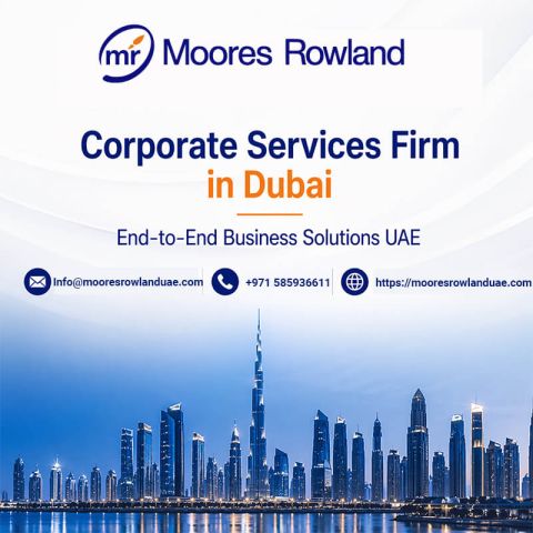 Construction Arbitration & Litigation Dubai