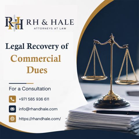 Cross-Border Debt Recovery with Legal Expertise