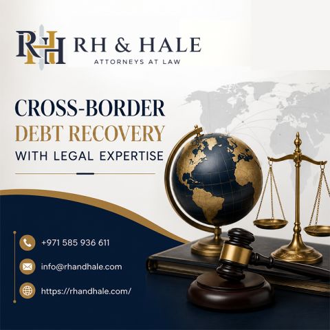 Cross-Border Debt Recovery with Legal Expertise 3