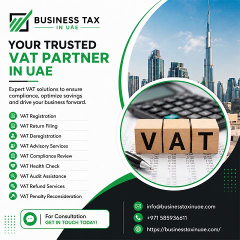 Owner Salary Benchmarking & Transfer Pricing Services UAE  2