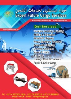 Storage and Transport services in Dubai 00971508678110 5