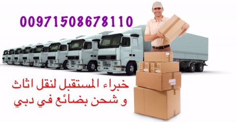 00971508678110 التخزين في دبي Storage services 6