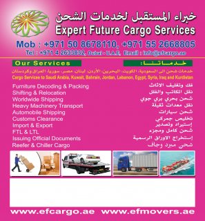 00971508678110 التخزين في دبي Storage services 7