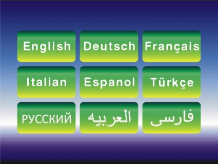 جهاز كشف الذهب الخام والدفين والمعادن والفراغات الأمريكي BR 100 T  4