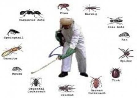 الثقة للتنظيف ومكافحة الحشرات 3