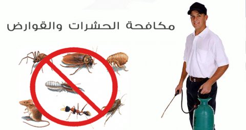 اقوى شركات مكافحة حشرات فى دبى 0566511084 الفردوس 1