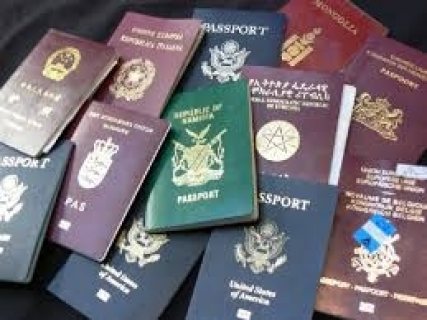   buy registered and unregistered Belgium passports,  4