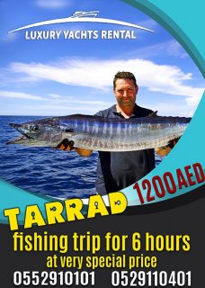 Book Tarrad for low price long hours 1