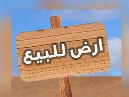 ارض استثمارية في العين