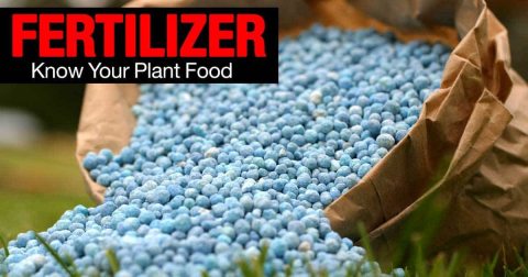 fertilizers 