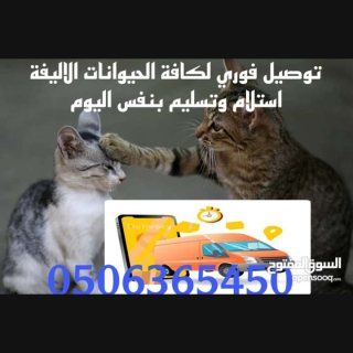 توصيل حيوانات لجميع الامارات